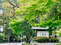 南禅寺参道　 菊水 写真