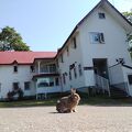 ペンション フェニックス 写真