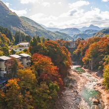 写真：楽天トラベル