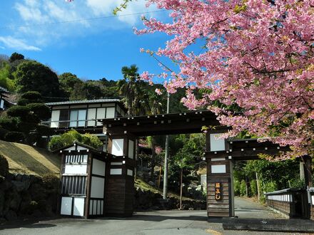 伊東温泉　横浜藤よし伊豆店 写真