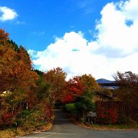 守護陣温泉 写真