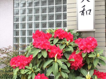 旅館大和 写真