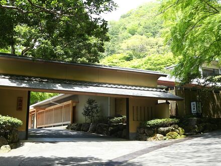 海石榴 つばき 写真