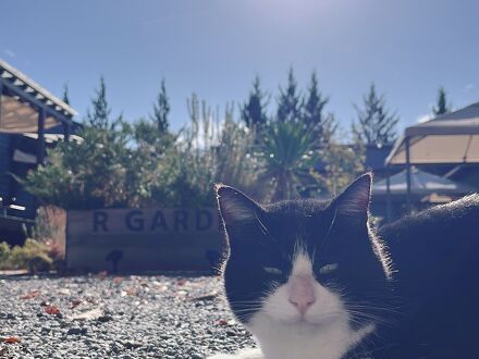 R GARDEN 写真