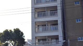 ゲストハウス グラシアス