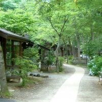 たびのCAMPING BASE 秋保 木の家 写真