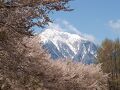 八ヶ岳南麓大泉高原　ロッジ山旅 写真