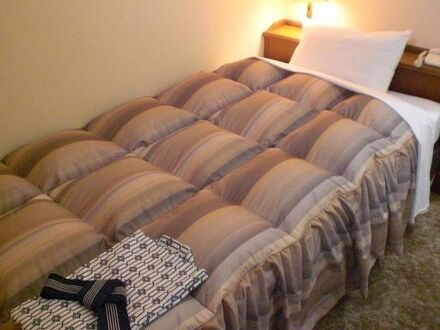 ホテルリブマックス豊岡 写真