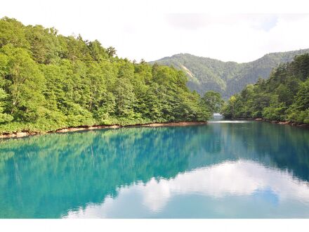源泉掛け流しの宿 の猿Ｈｏｓｔｅｌ 写真