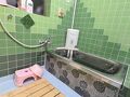 富貴　若竹 写真