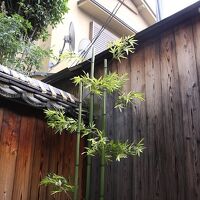 Ulala An 写真