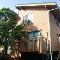 森のゴリラ 写真