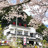 湯谷温泉　離れのお宿　松風苑 写真