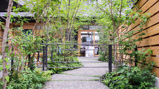 HIYASAI LOGIN Kurashiki