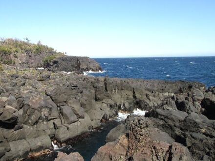 プチリゾート 赤い馬 写真