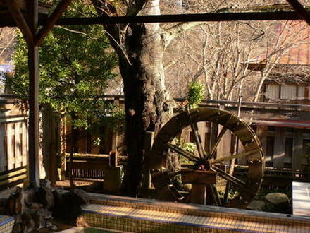 清水屋旅館 写真