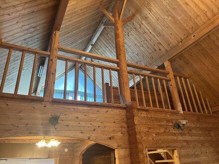 黒川マリーゴールド 写真