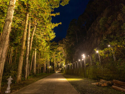 Temple Hotel 大泰寺 写真