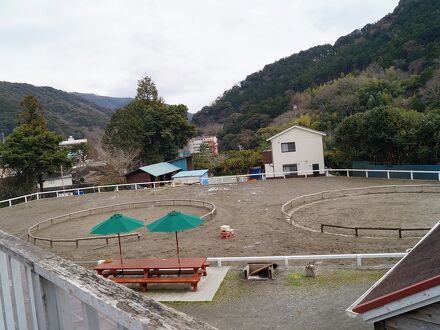 乗馬クラブ　天城ホースビレッジ 写真
