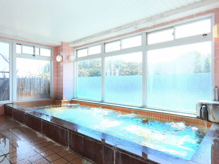 竜宮料理の宿　八島(やしま） 写真