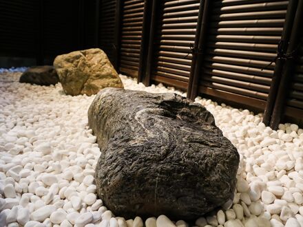 金沢くつろぎ宿 泊まり木 写真