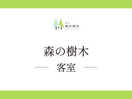 森の樹木 写真
