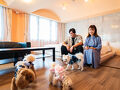 別府 丘と海のドッグリゾート 写真