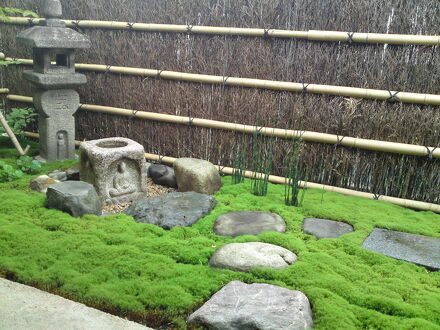 とおの屋　要（よう） 写真