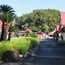 写真：楽天トラベル