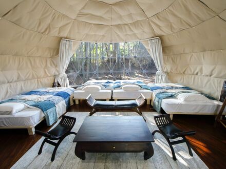 THE BAMBOO FOREST 写真