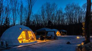 NAGOMI CAMP