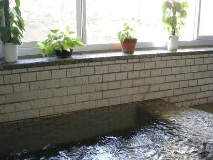 マーレ亀吉 写真