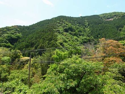 やすらぎの温泉宿　河津七滝温泉　旅館　青木の坂 写真