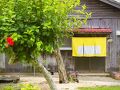伝泊 徳之島 (天城町)  写真