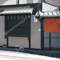 ホスタ梅小路 朱 写真