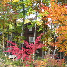 写真：楽天トラベル