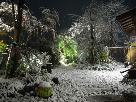 かわら崎　湯元館 写真