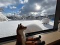 コテージ・レオン 写真