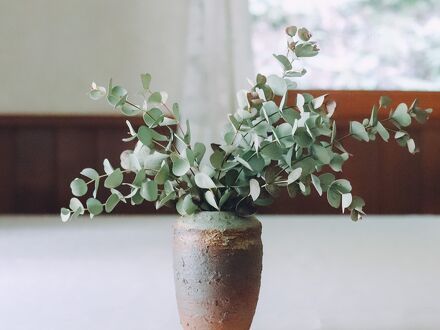 ペンション　ブランチ 写真