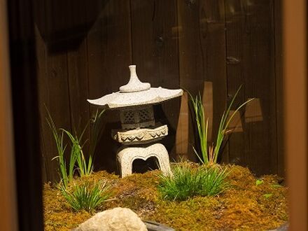 青竹庵 写真