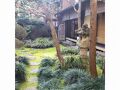 吉田屋 写真