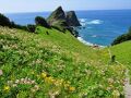 民宿・食堂　浦島 写真