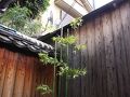 Ulala An 写真
