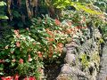 CASABLANCA VACATION HOUSE 写真