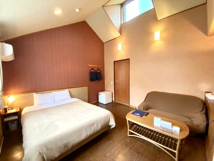 ベル ザ キャット 写真