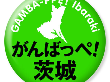 Co-Living & Guesthouse マンシュウヤ 写真