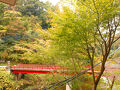 養老渓谷温泉郷 温泉旅館 川の家 写真