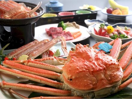 山陰湯村温泉　内湯旅館さんきん 写真