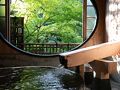 箱根温泉　鶴井の宿　紫雲荘 写真