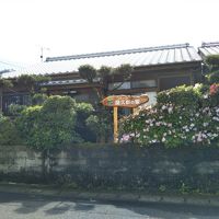 コテージ 屋久杉の家 写真